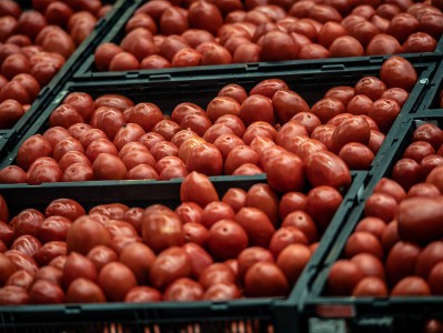 美墨“番茄协议”到期，美国人吃番茄马上要交17%关税_发现频道_中国青年网