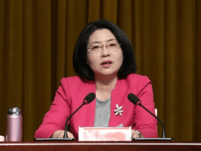 “美女书记”林虹，被开除党籍和公职