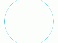 花开四色 这棵“网红树”每天千人打卡