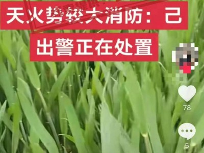 网传“重庆一工业园区着火10人遇难上百人失联”系谣言