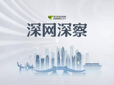 深网深察丨4人法律咨询公司两年如何拿下千万法律服务大单？