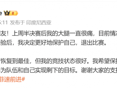 陈雨菲因伤退出印尼羽毛球公开赛 连胜纪录停留在24场