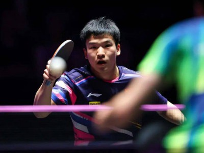 向鹏独闯男单半决赛，王艺迪、陈幸同女单进4强 | WTT仁川冠军赛