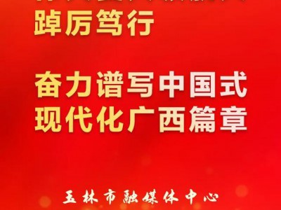 新华网发表王琛署名文章《壮大“玉林人经济” 唱响高质量发展主旋律》