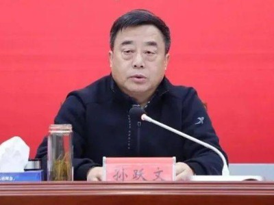 孙跃文，任上被查