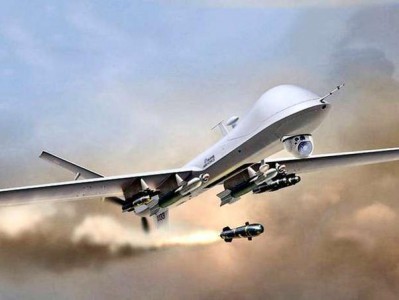 印媒称台求购印度D4反无人机系统！网友：赶紧买，买了就放心了