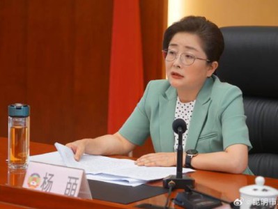 昆明市政协主席杨皕，主动投案