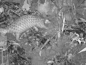 韩网现“袭击总统李在明家人”的威胁帖文，涉及其儿子即将举行的婚礼，警方介入调查