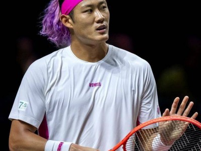 原创
            温网官宣10人退赛名单：张之臻商竣程在列 中国男网只剩小布一人