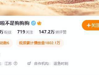 知名主播啦啦啦携同盟参战三谋周年服，还是三谋太好玩了