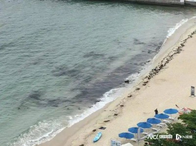 “擦都擦不掉”！多名网友反映深圳大梅沙现黑色油污，味道刺鼻！官方回应